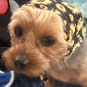 Meet your Posher, Rick